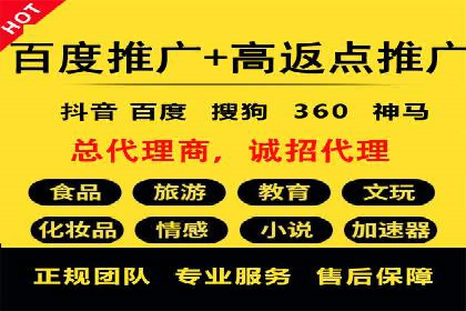 某行业头部企业信息流广告推广全解析